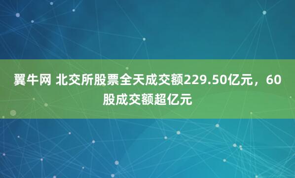 翼牛网 北交所股票全天成交额229.50亿元,60股成交额超亿元