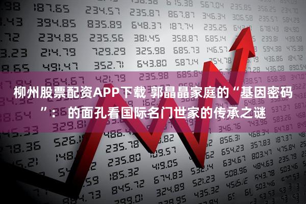 柳州股票配资APP下载 郭晶晶家庭的“基因密码”： 的面孔看国际名门世家的传承之谜