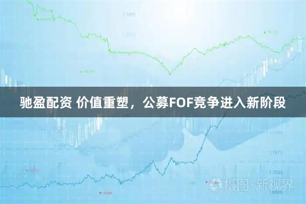驰盈配资 价值重塑，公募FOF竞争进入新阶段